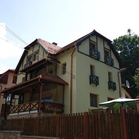 Villa Atriolum BaileTusnad Pokoj fotografie